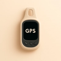 GPS
